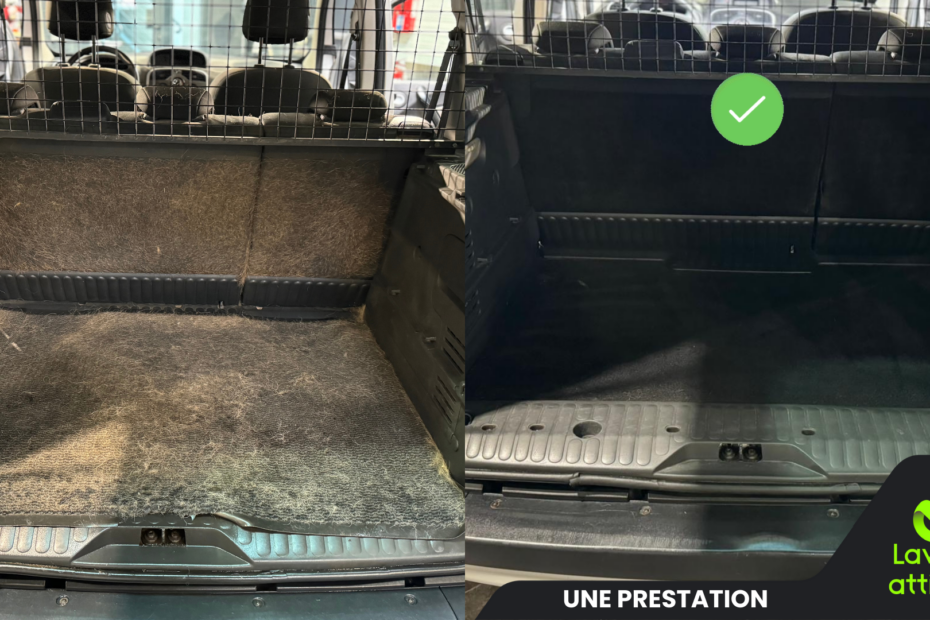 Nettoyage miraculeux d'une renault kangoo rempli de poils de chien